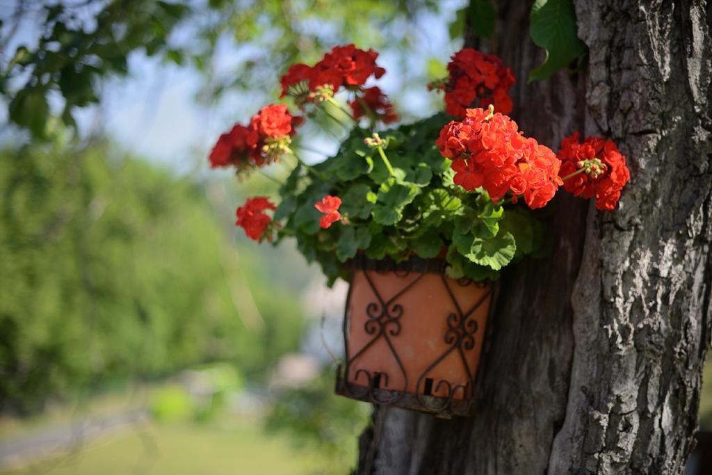 Bed And Breakfast Montino Чене Экстерьер фото